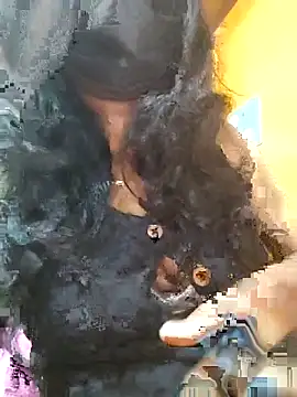 Tamillminnal online show from 09.13.25