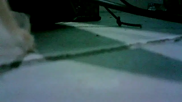 Snapshot of patynalgona chatting on 10.18.25 patynalgona online show from 10.18.25