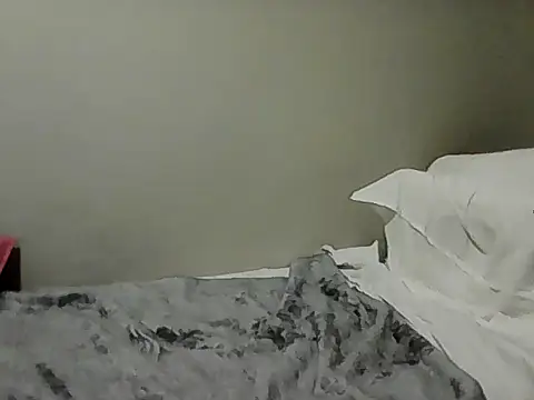 housewife shantie online show from 11.01.25