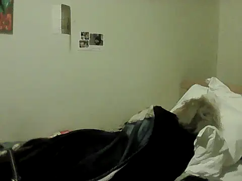 housewife shantie online show from 02.08.26