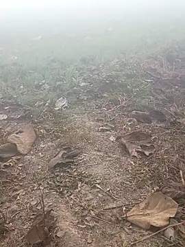 imissyoumylove14 online show from 01.17.26