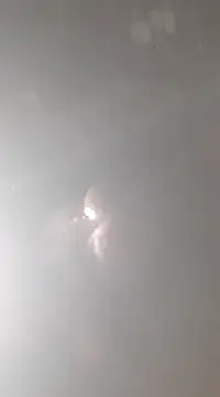 Snapshot of bandi-big-dick chatting on 01.07.25 bandi-big-dick online show from 01.07.25