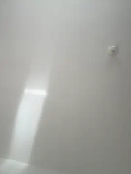 Morguisssz online show from 11.20.25