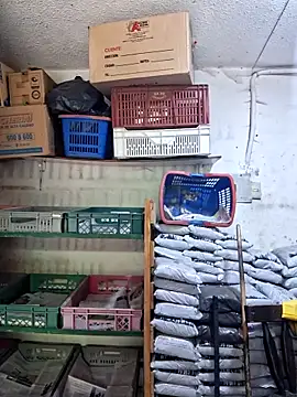 nidia2026 online show from 04.21.26