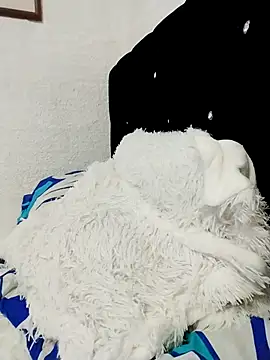 ElizabethWeil online show from 12.15.25