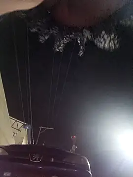 LIZ-06  online show from 02.14.25