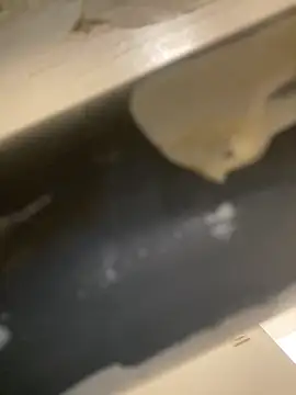 Snapshot of Mme_Milahotspicy chatting on 10.19.25 Mme Milahotspicy online show from 10.19.25