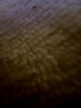 houy111111 online show from 02.03.26