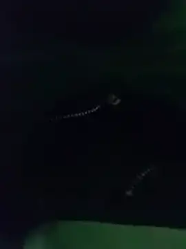 Snapshot of thanos65432 chatting on 03.18.26 thanos65432 online show from 03.18.26