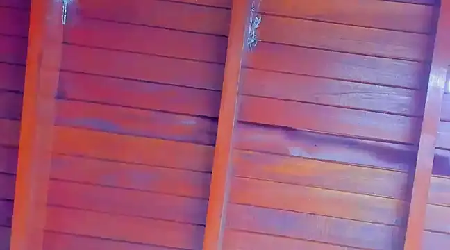 Rosse Emily online show from 02.22.25