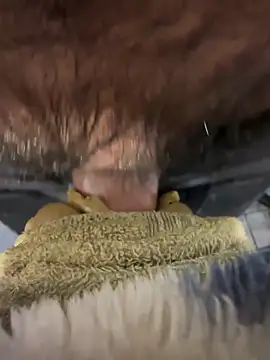 edgher646 online show from 04.25.26