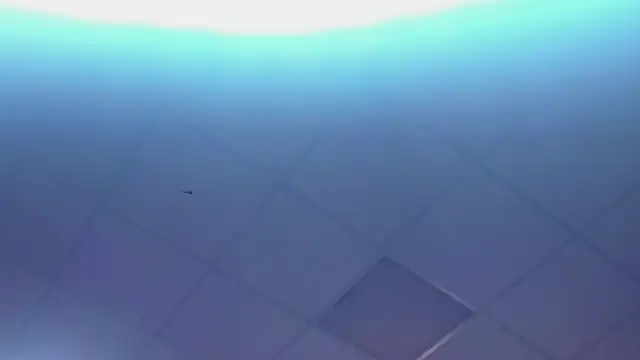 Lexy-Woorhez online show from 02.28.25