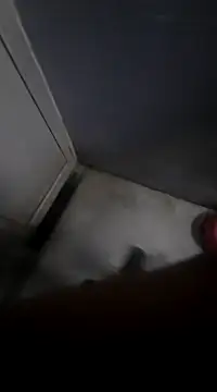 Ritikdesi online show from 03.02.25