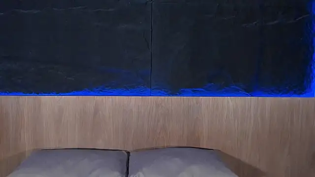 Snapshot of ArtemisaBlake chatting on 01.28.25 ArtemisaBlake online show from 01.28.25