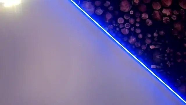 Snapshot of ArtemisaBlake chatting on 03.22.25 ArtemisaBlake online show from 03.22.25