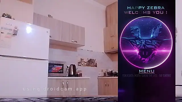 HappyZebra13 online show from 12.12.24