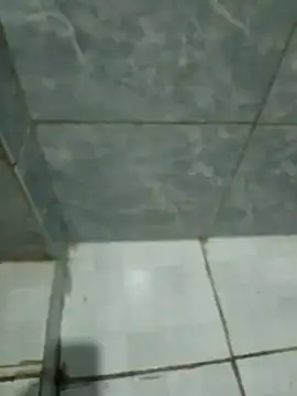 Pretordr online show from 03.12.25