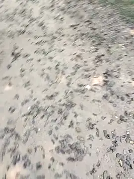 Snapshot of chootkapyasa007 chatting on 10.22.25 chootkapyasa007 online show from 10.22.25