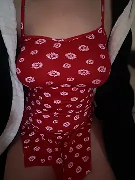 Snapshot of hot_girl_dina chatting on 12.31.24 hot girl dina online show from 12.31.24