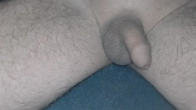 Snapshot of cs1512 chatting on 02.26.25 cs1512 online show from 02.26.25