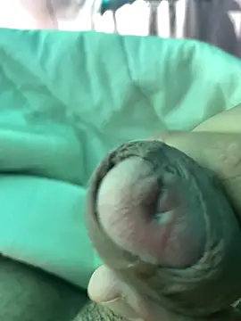 ostin 24 online show from 02.11.25