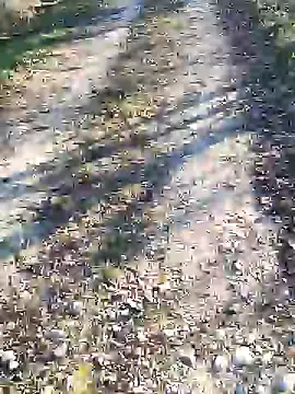 sansan2411 online show from 01.12.25