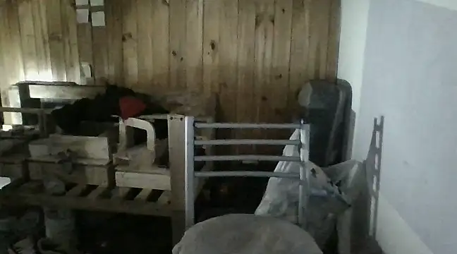 Snapshot of italianbighorse22 chatting on 01.18.25 italianbighorse22 online show from 01.18.25