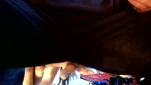 SilverandFox online show from 09.10.25