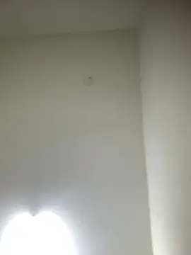 bidex002 online show from 05.16.26