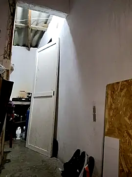 Snapshot of gatoalex89 chatting on 02.19.25 gatoalex89 online show from 02.19.25