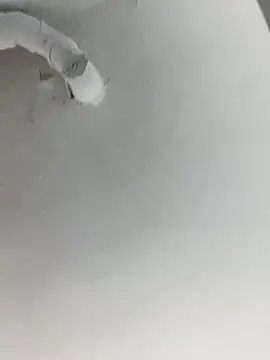 Snapshot of ekskekejejej chatting on 09.28.25 ekskekejejej online show from 09.28.25