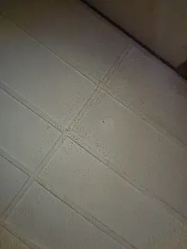 Snapshot of zaneporter46 chatting on 10.31.25 zaneporter46 online show from 10.31.25