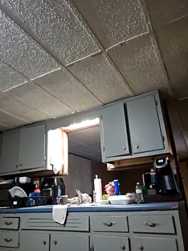 zaneporter46 online show from 11.25.25