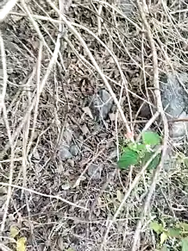 Guru2 online show from 01.26.25