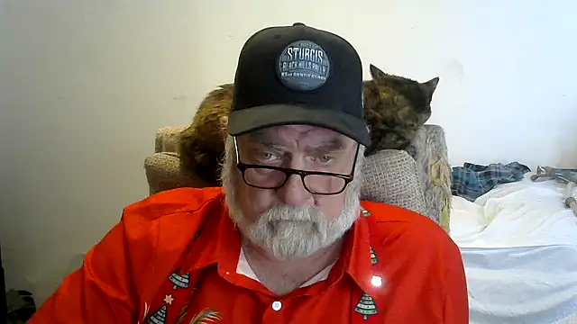 viejo oso online show from 12.14.25