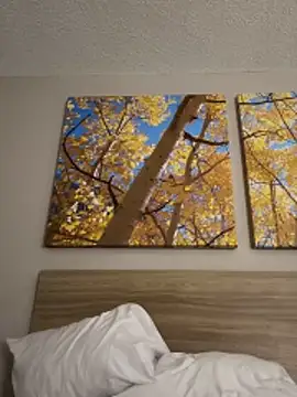 kayNkris online show from 02.07.26