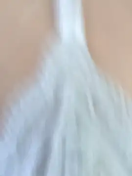 gabrielaycarlos online show from 01.02.25