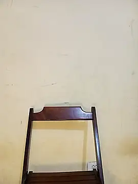 bibiazinhaaa online show from 02.20.25