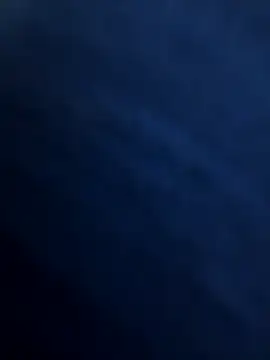 Snapshot of prnv00007 chatting on 12.27.24 prnv00007 online show from 12.27.24