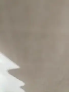 Snapshot of prnv00007 chatting on 01.01.25 prnv00007 online show from 01.01.25