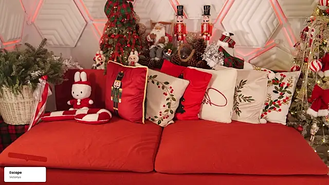 taanni bc online show from 01.15.26