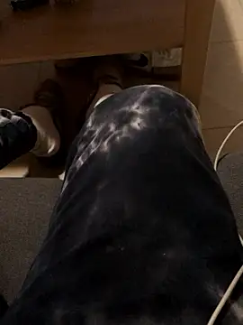 josueswvillaA1 online show from 01.12.26