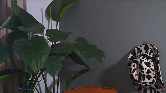 Snapshot of HairyRobxxx chatting on 09.20.25 HairyRobxxx online show from 09.20.25