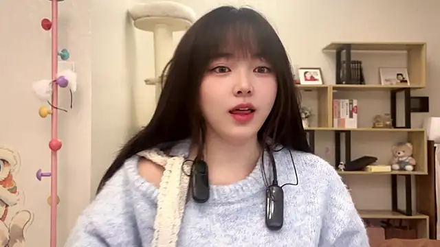 Snapshot of Chenjing0 chatting on 11.02.25 Chenjing0 online show from 11.02.25