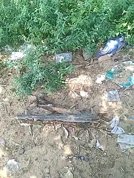 Snapshot of teluguu-rajj chatting on 10.21.25 teluguu-rajj online show from 10.21.25