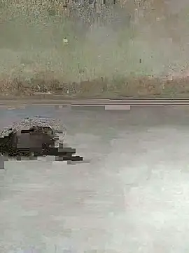 Snapshot of teluguu-rajj chatting on 10.27.25 teluguu-rajj online show from 10.27.25