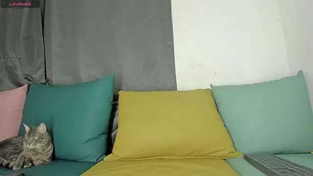 maison sofia1 online show from 01.07.25