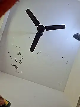 Tanu-Call-Me online show from 01.18.25