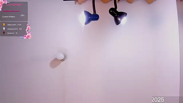 Snapshot of Alice-randy chatting on 02.07.25 Alice-randy online show from 02.07.25