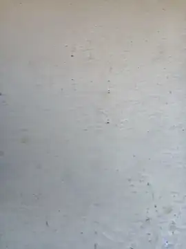 Snapshot of Pooja_cut chatting on 10.02.25 Pooja cut online show from 10.02.25